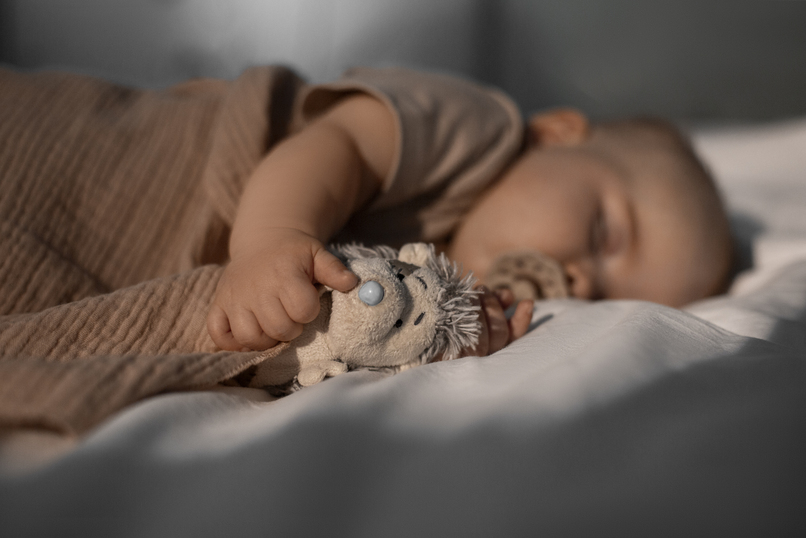 beb a dormir em ambiente tranquilo com peluche